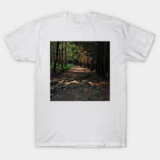 Tree Covered Walk Way T-Shirt